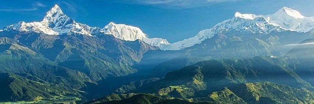 dearbimal's profile banner image