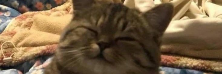 zipoffshorts's profile banner image