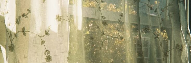 . ݁₊⊹🍉🤍🅆🄾🄻🄵🄲🄷🄰🅁🤍🍉⊹₊ ݁ . banner