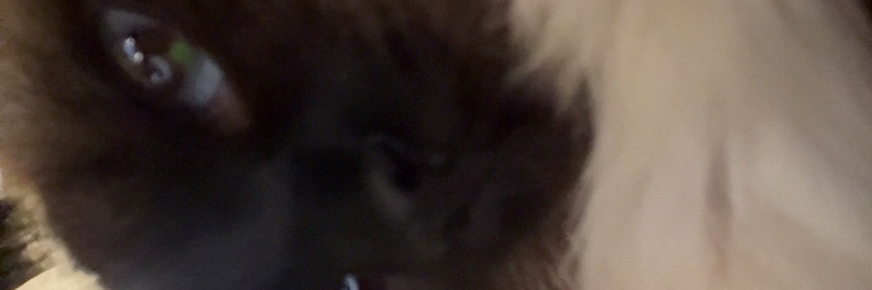 robpointzv's profile banner image