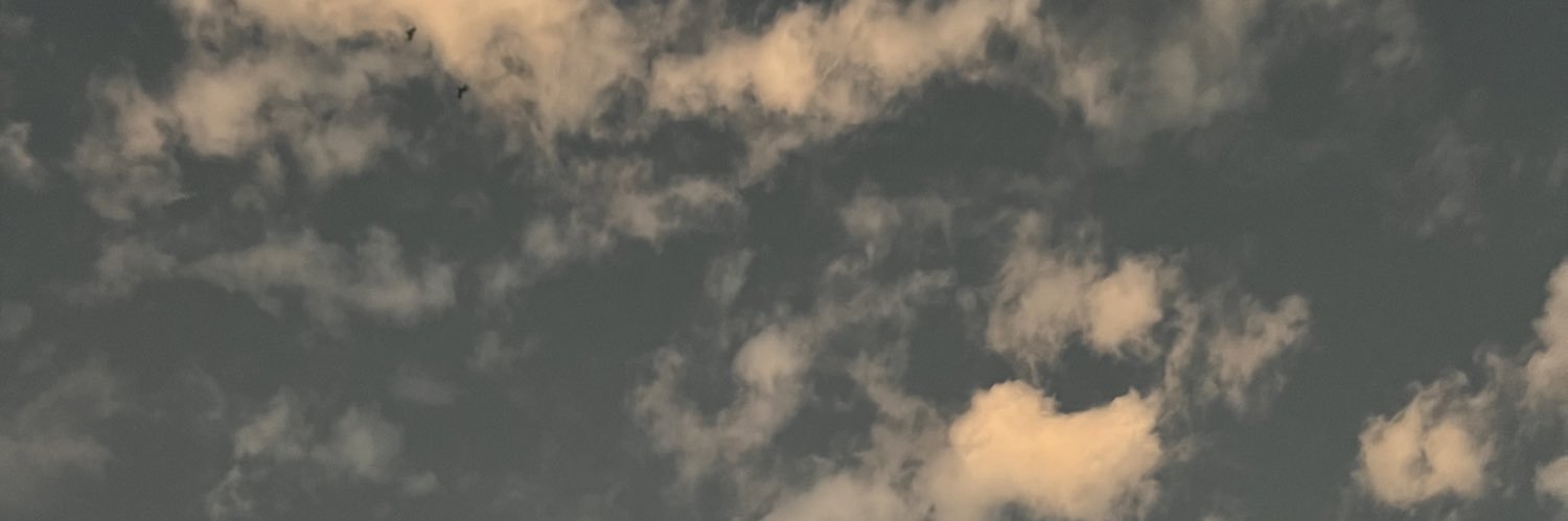 dontyoubeyou's profile banner image