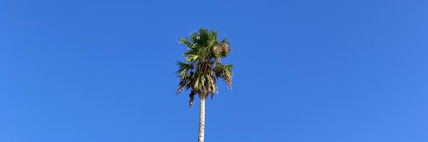 1398Ocean's profile banner image