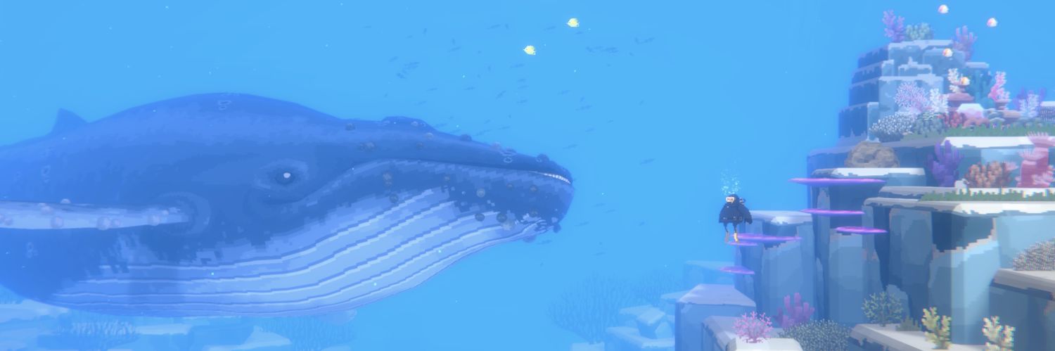gamaniro_boy's profile banner image