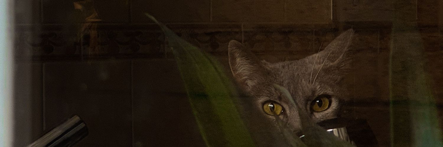 LeJaramais's profile banner image