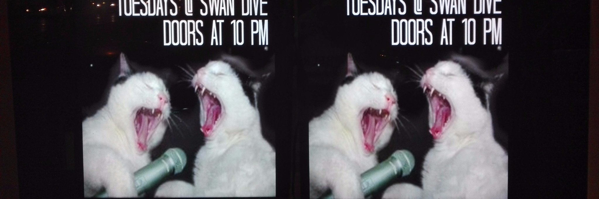 Wyrdy's profile banner image