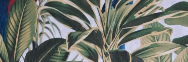 FreyaSparksSLT Profile Banner