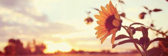 PaigeElln's profile banner image