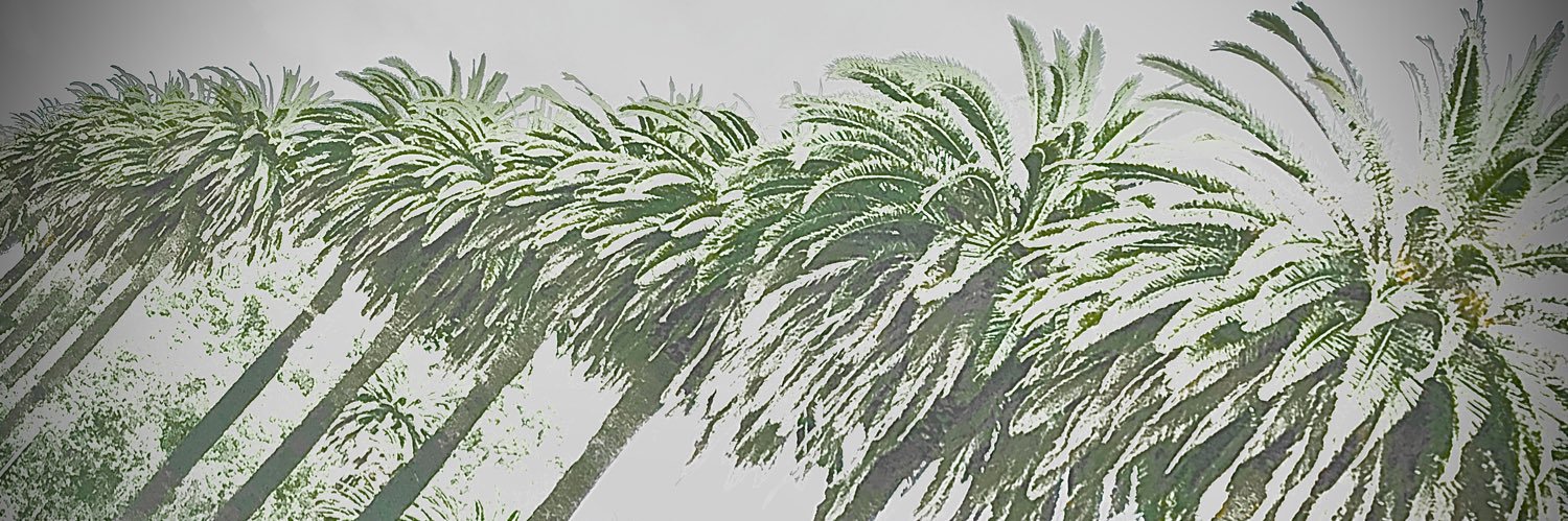 Justin Thormann's banner