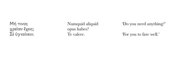 ShoniBLD Profile Banner