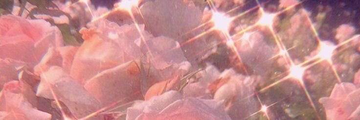 Anesthesia🧚‍♂️ banner