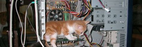 marston connell banner