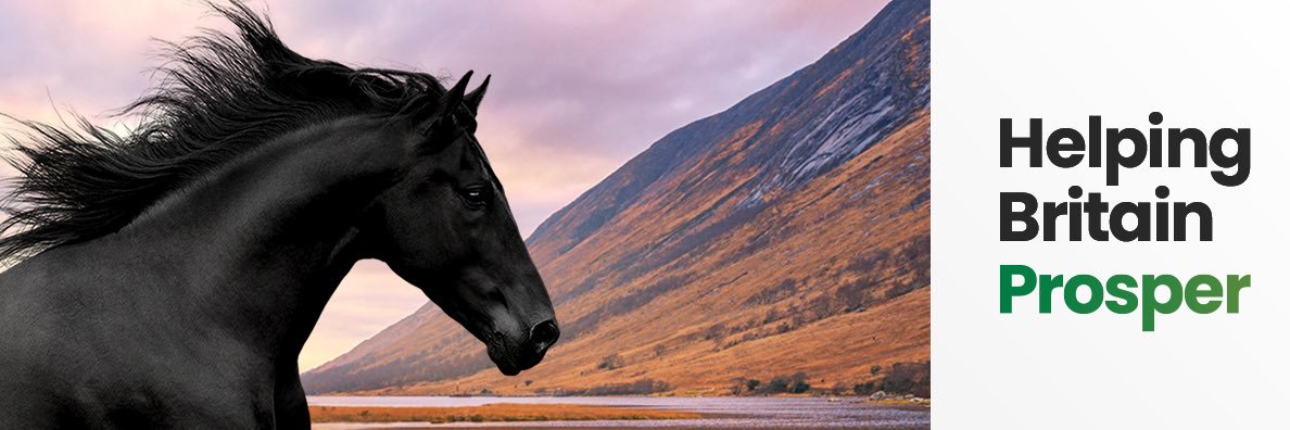 Helen Bierton banner