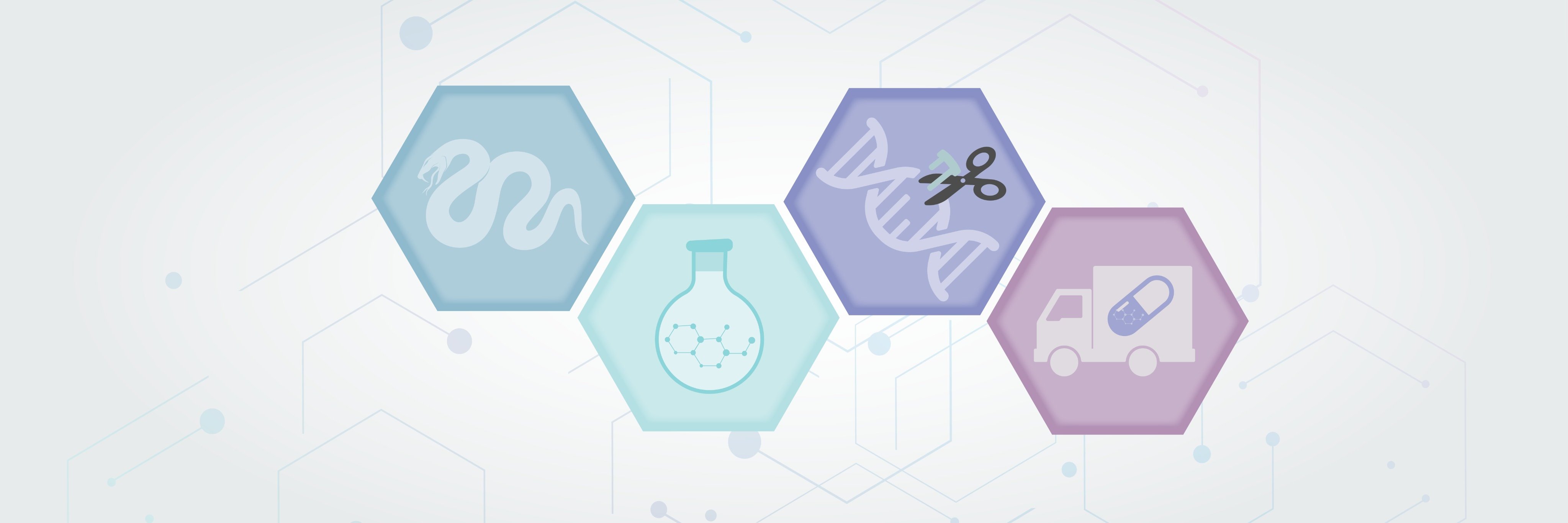 The Amit Choudhary Lab banner