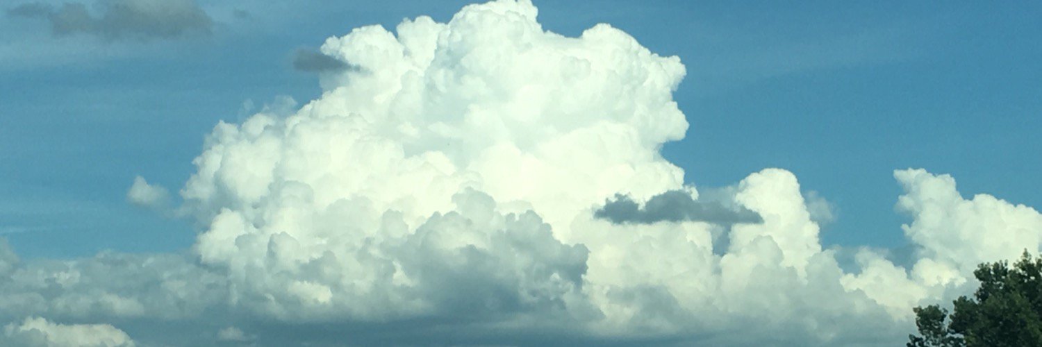 blasterpal's profile banner image