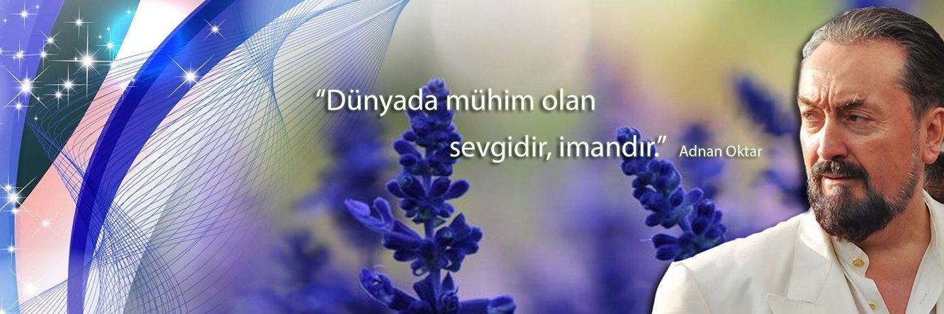SDavudoglu's profile banner image