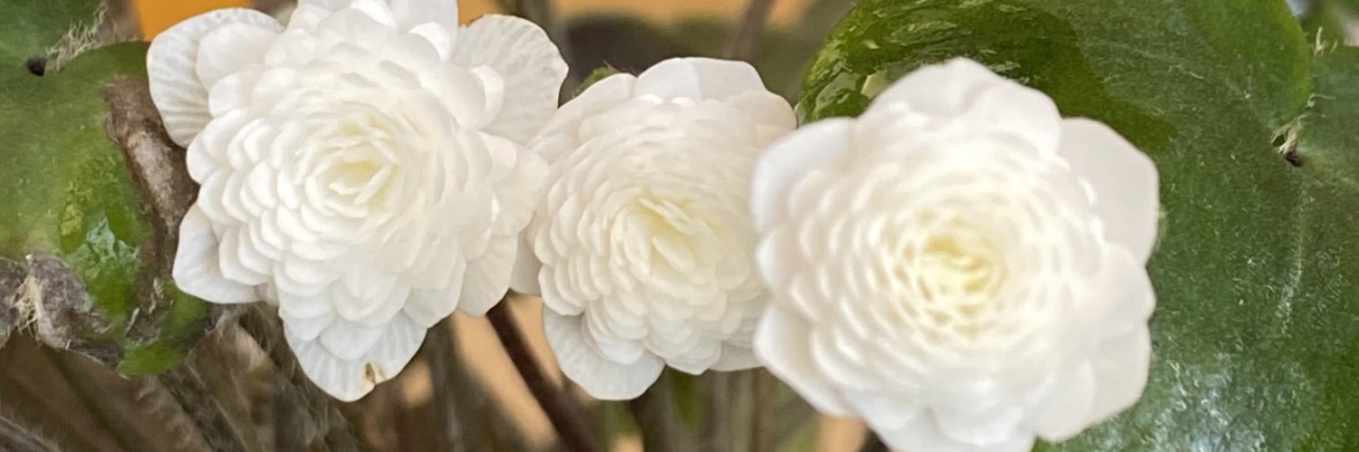 chitooji.bnb$QBX🛸Tabi 🐉$MON🟧 ⛈️ 🦭/acc Solix banner