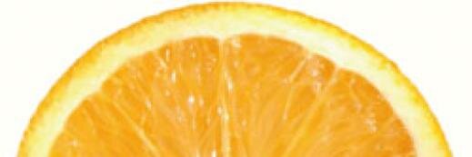 Voeding_NL's profile banner image