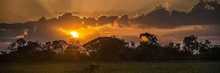 AnDyMao24's profile banner image