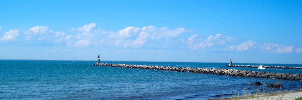 Pamfoca's profile banner image