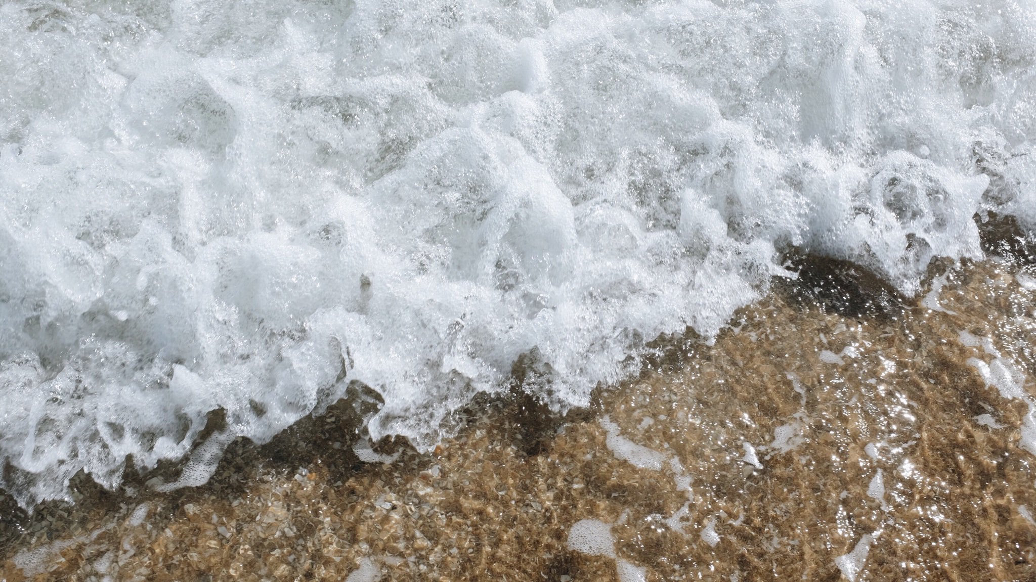 itsdipsie's profile banner image