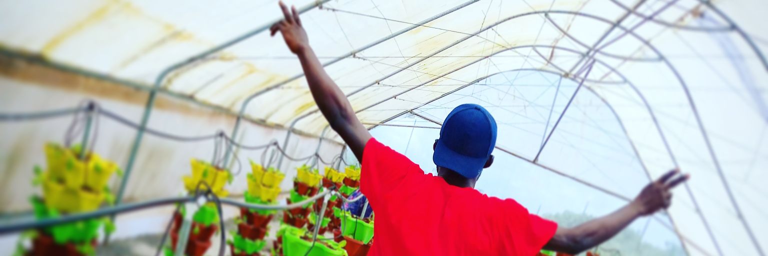 21st century Entrepreneur 🌏 banner