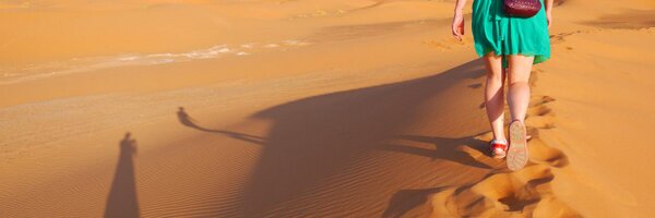 pum Profile Banner