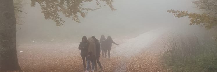 Seda Öz banner