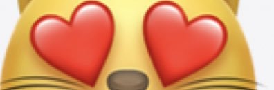 😻 banner