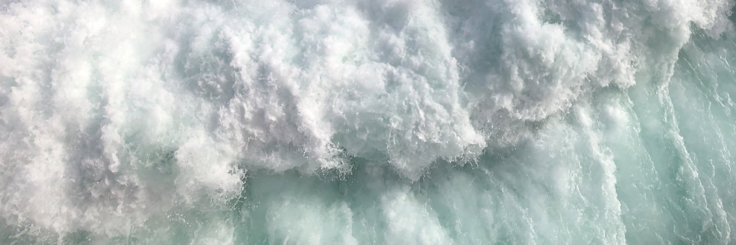 dianamariahl_'s profile banner image