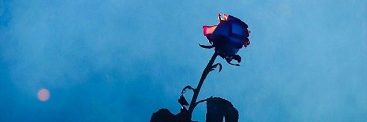ronaasmaraa's profile banner image