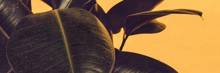 ch97_m's profile banner image