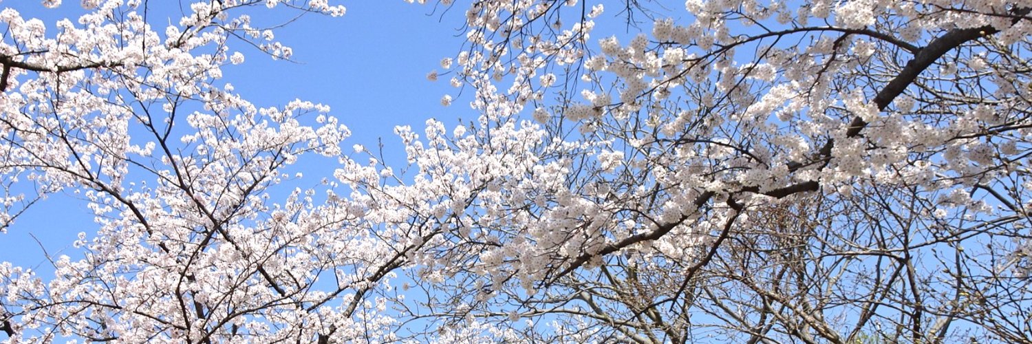 フローライト banner