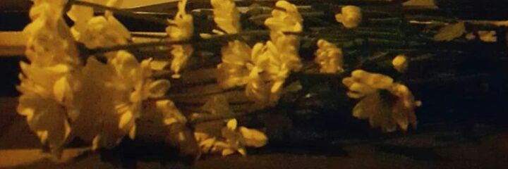 ZLEM89575662's profile banner image