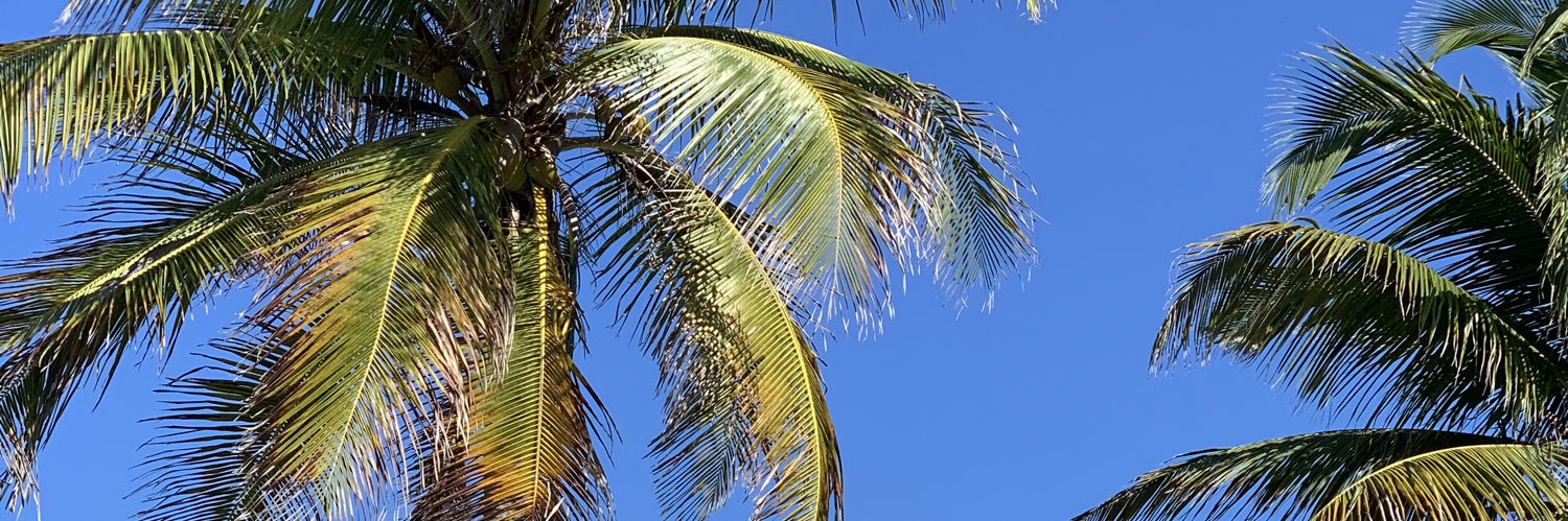 AlexMansito's profile banner image