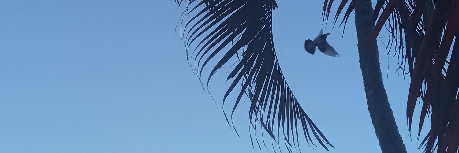 Melanyna_'s profile banner image