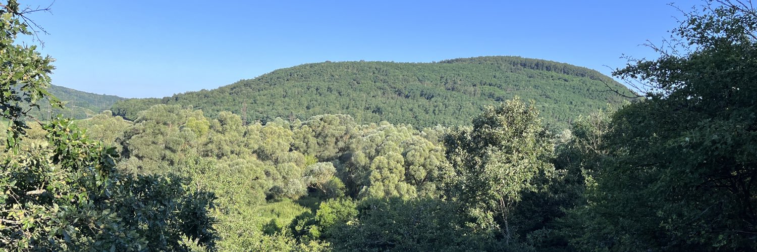 YoungHunter🇭🇺 banner