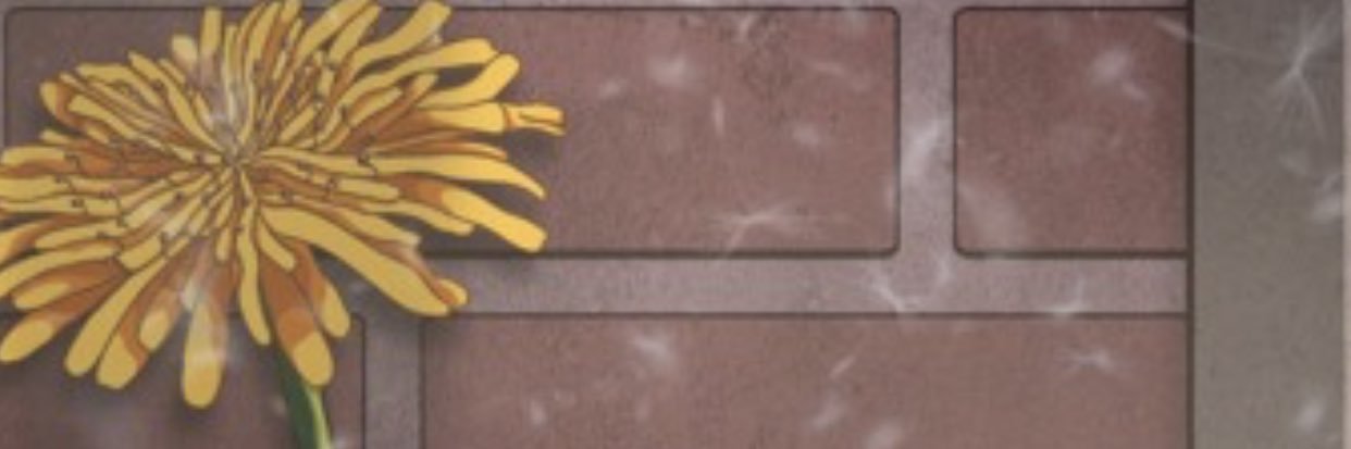 gyeomtype's profile banner image