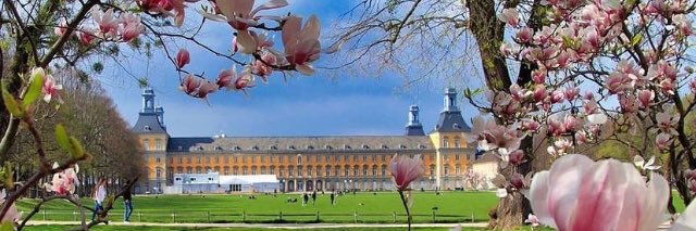 Dr. Ahmad Al-Yasry احمد الياسري banner