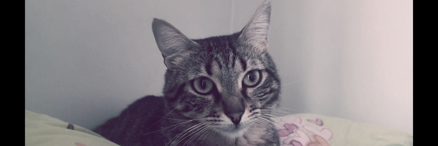 FatihOtrkl's profile banner image