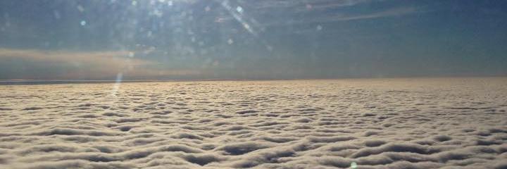 Agnieszka Sadowska banner