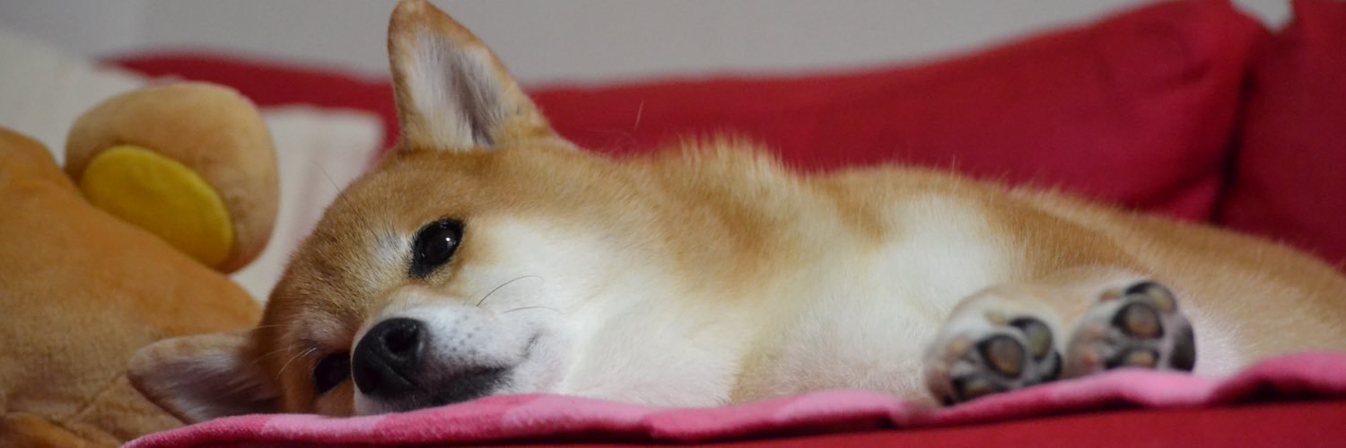 さえ's banner