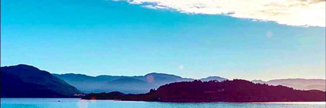 nancy2151's profile banner image