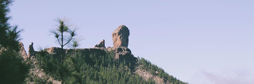 lucciasosa's profile banner image