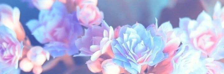 Yeye410's profile banner image