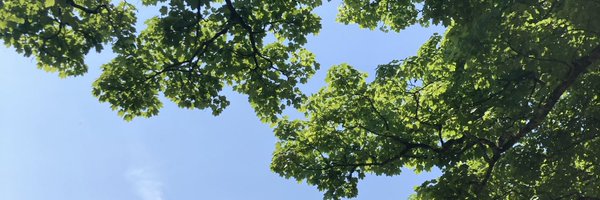 authorethan Profile Banner