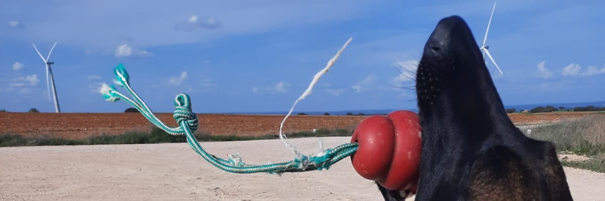 francesc_v's profile banner image