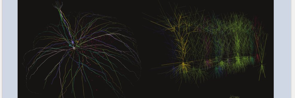 Open Source Brain banner