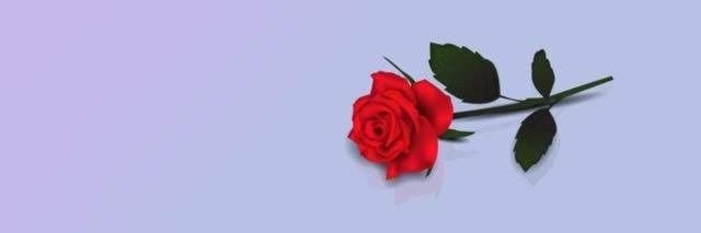 _NataliaRe's profile banner image