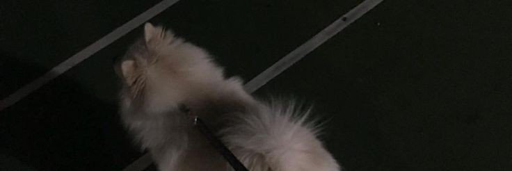 - ปิดบอท - banner