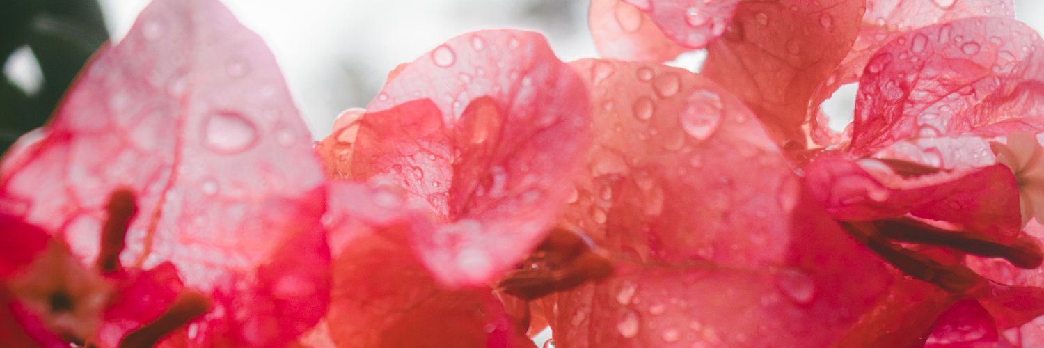 dynaMau's profile banner image